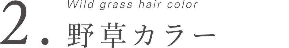 2.Wild grass hair color 野草カラー